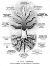 Load image into Gallery viewer, My Angel Connection